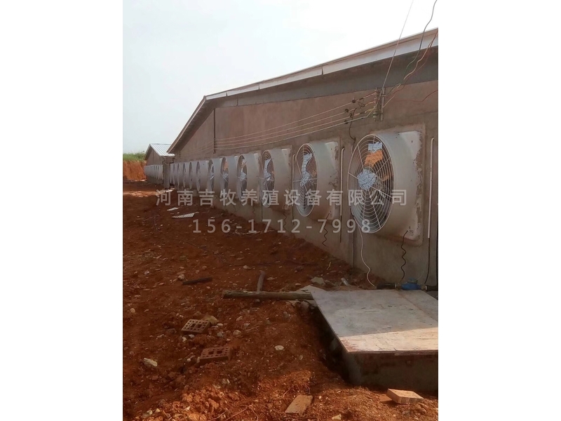 4400頭育肥豬場(chǎng)設(shè)備安裝現(xiàn)場(chǎng)