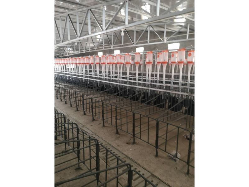 自動(dòng)供料系統(tǒng) 